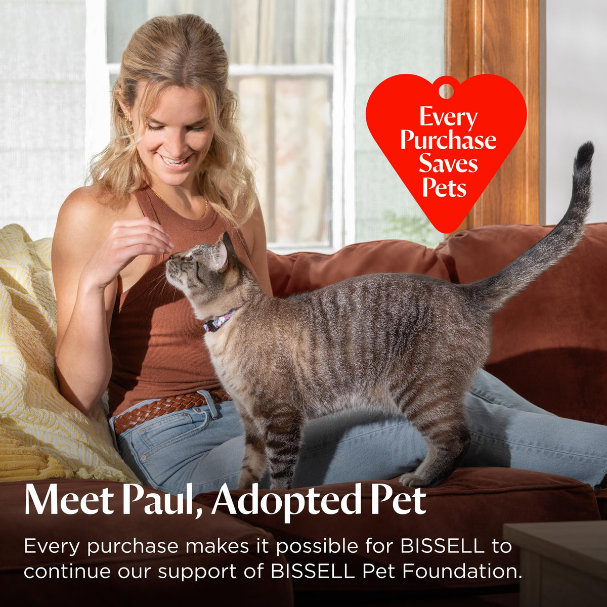 BISSELL Portable Carpet Cleaner
